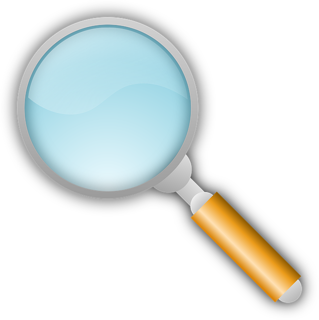 Toggle magnifier